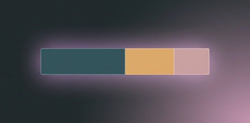 50 30 20 rule visual breakdown with three colored buckets